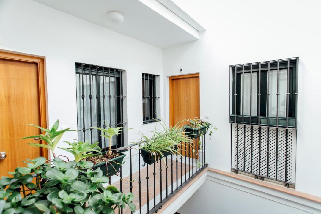 Bright Duplex W/ Terrace *